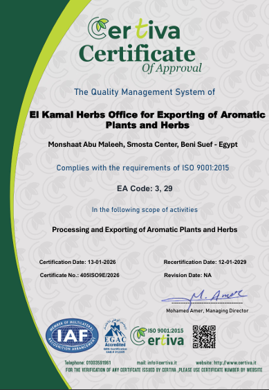 ISO 9001 Certificate